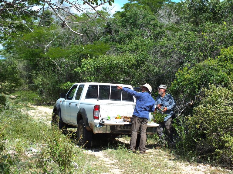 Pedro Acevedo and Hector 'Chapa' Andujar collecting specimens - Dominican Republic