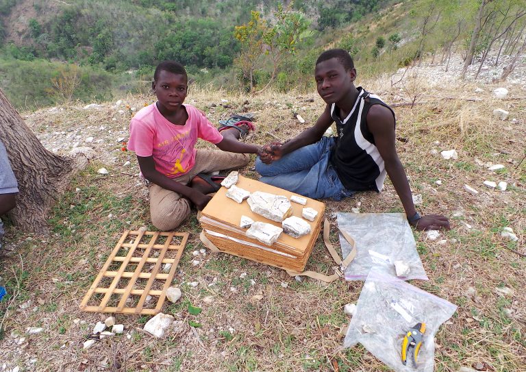 Field assistants - Haiti